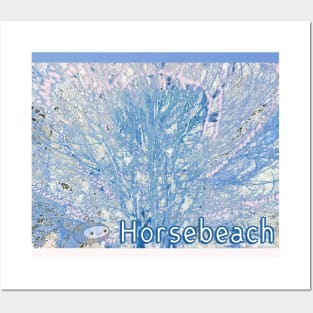 HORSEBEACH Posters and Art